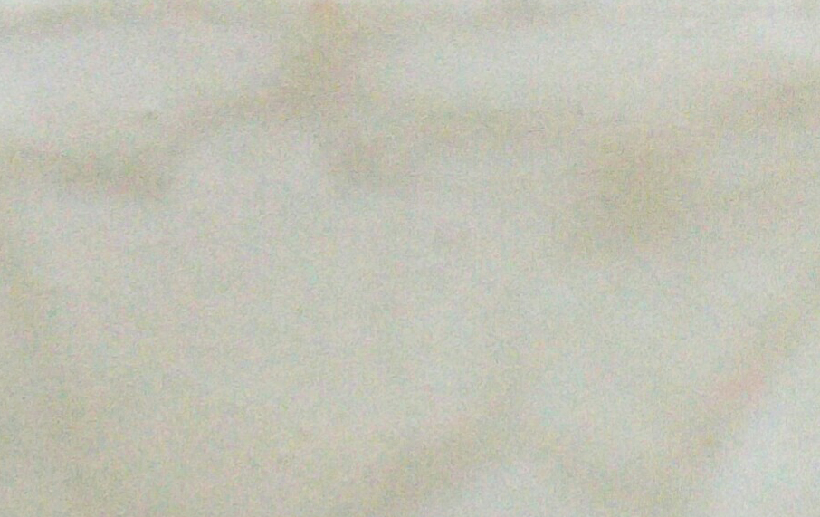 Blanco Panet 500gr